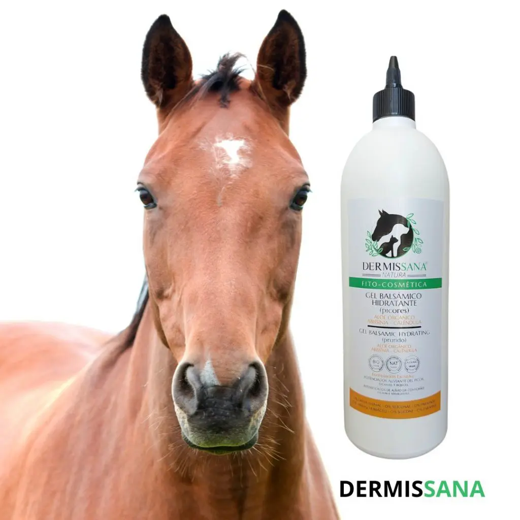 crema hidratante natural para caballos – picores y caspa