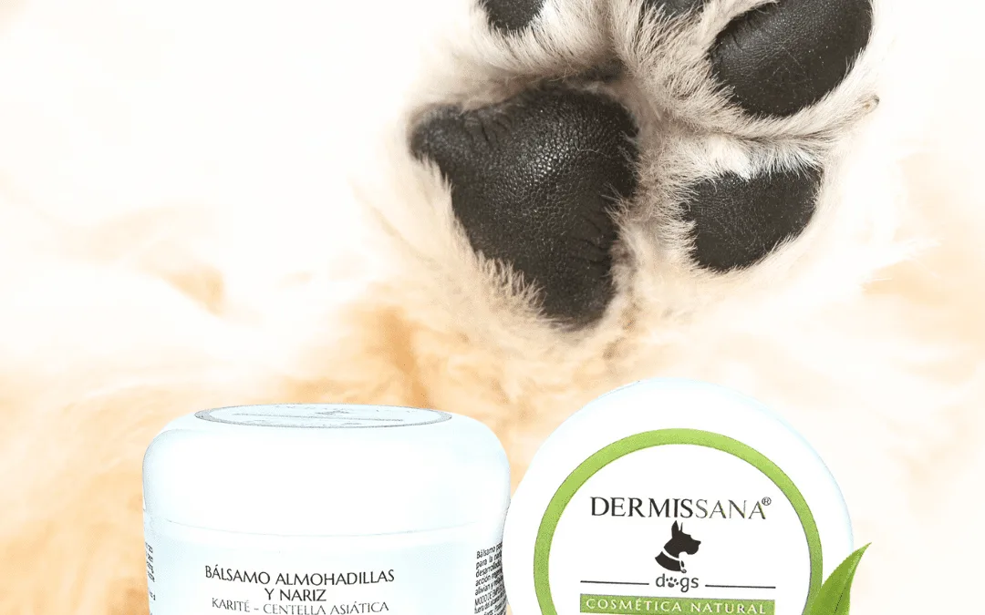 Bálsamo Protector para Almohadillas de Perros Dermissana para almohadillas secas y agrietadas