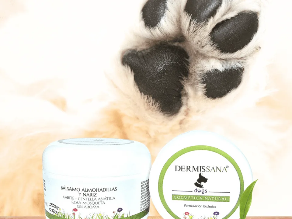 Bálsamo Protector para Almohadillas de Perros Dermissana para almohadillas secas y agrietadas
