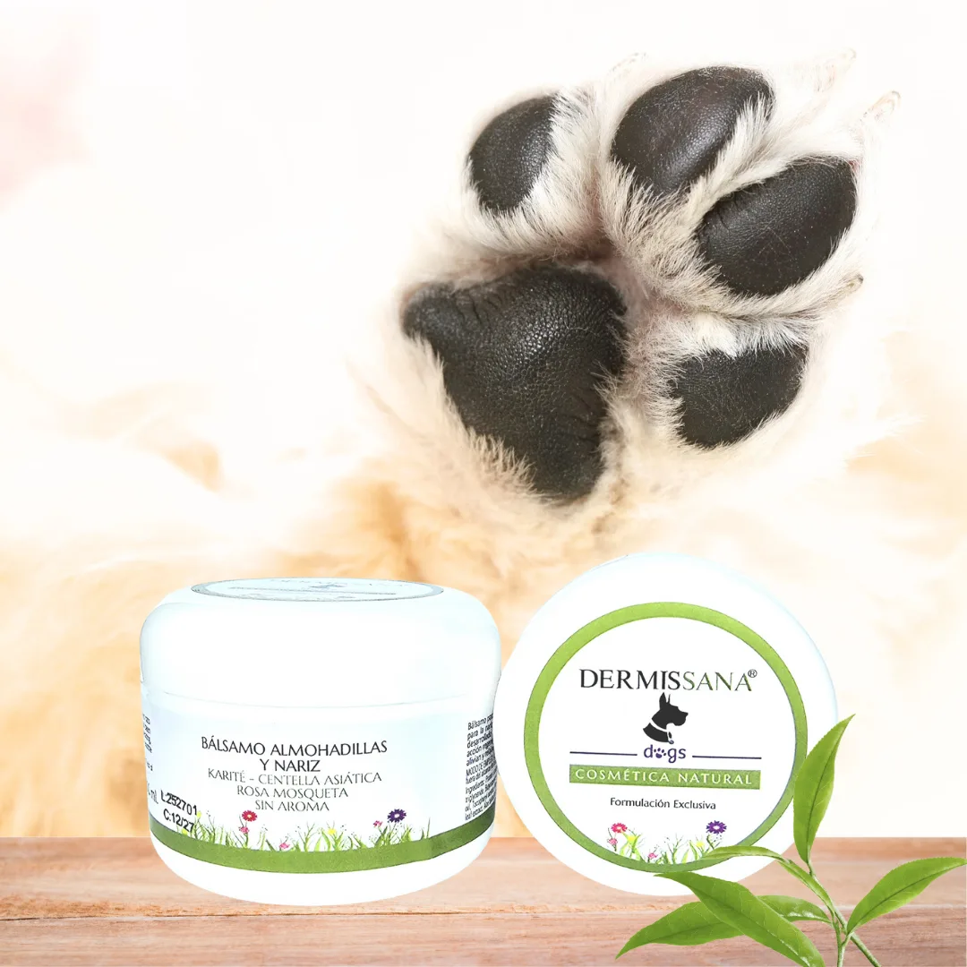 Bálsamo Protector para Almohadillas de Perros Dermissana para almohadillas secas y agrietadas