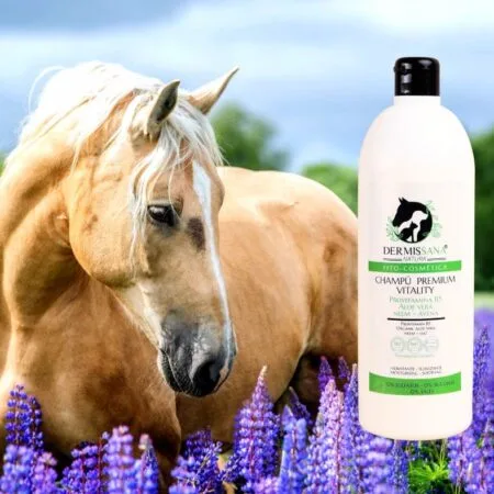 hampú natural para caballos Dermissana – brillo, suavidad y piel sensible