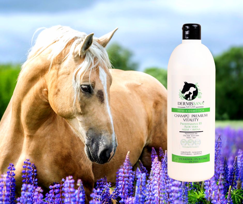 champu caballo dermissana