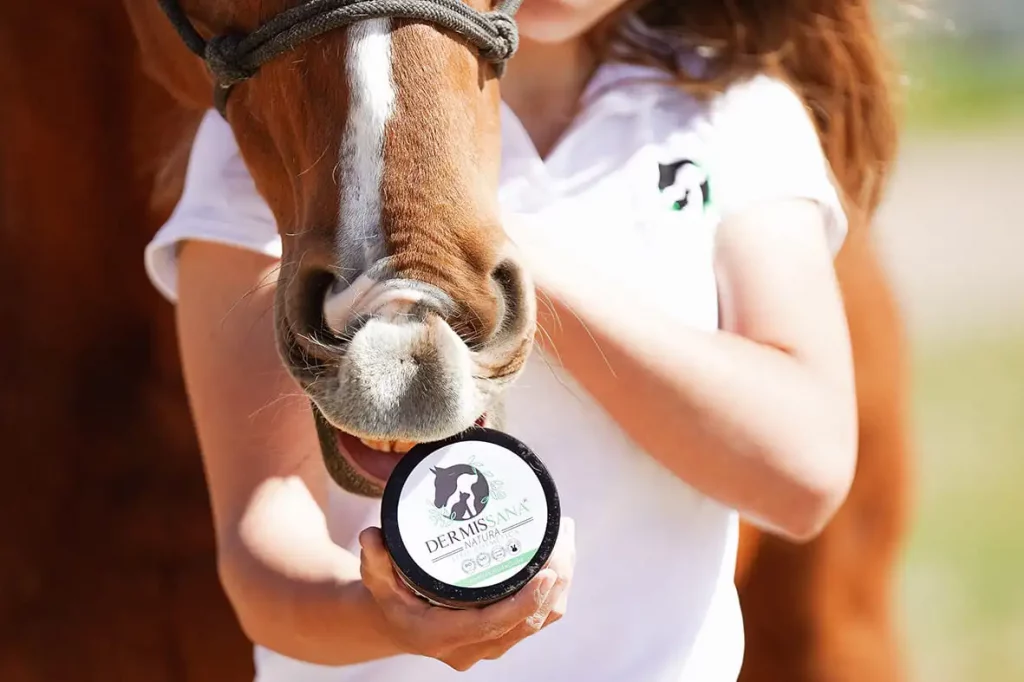 Crema regeneradora para caballo con roce de montura