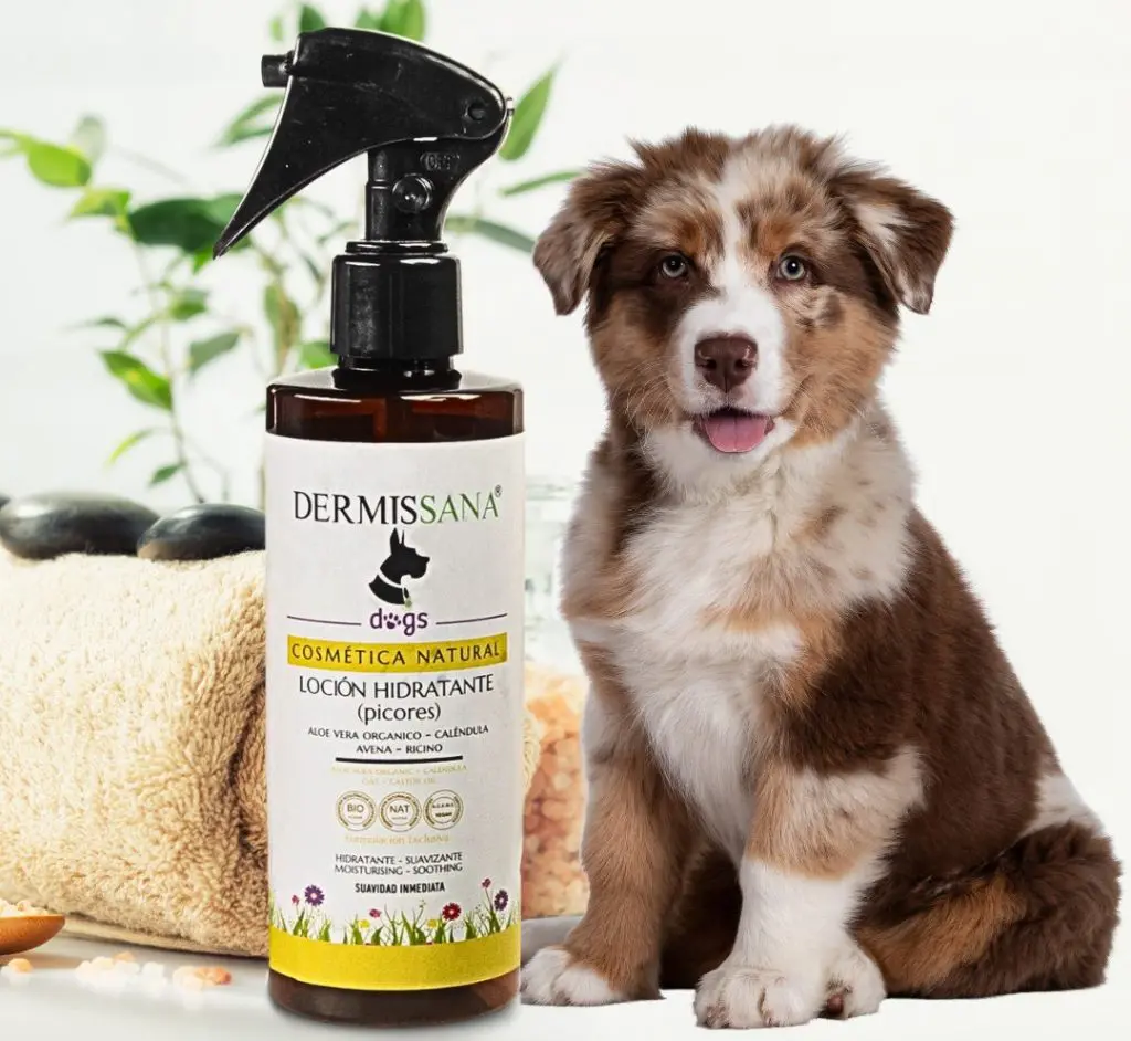 dermatitis en perros