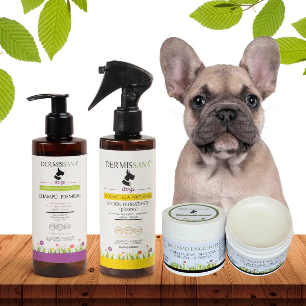 Dermatitis en perros