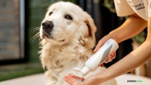 usar cosmetica humana en perros