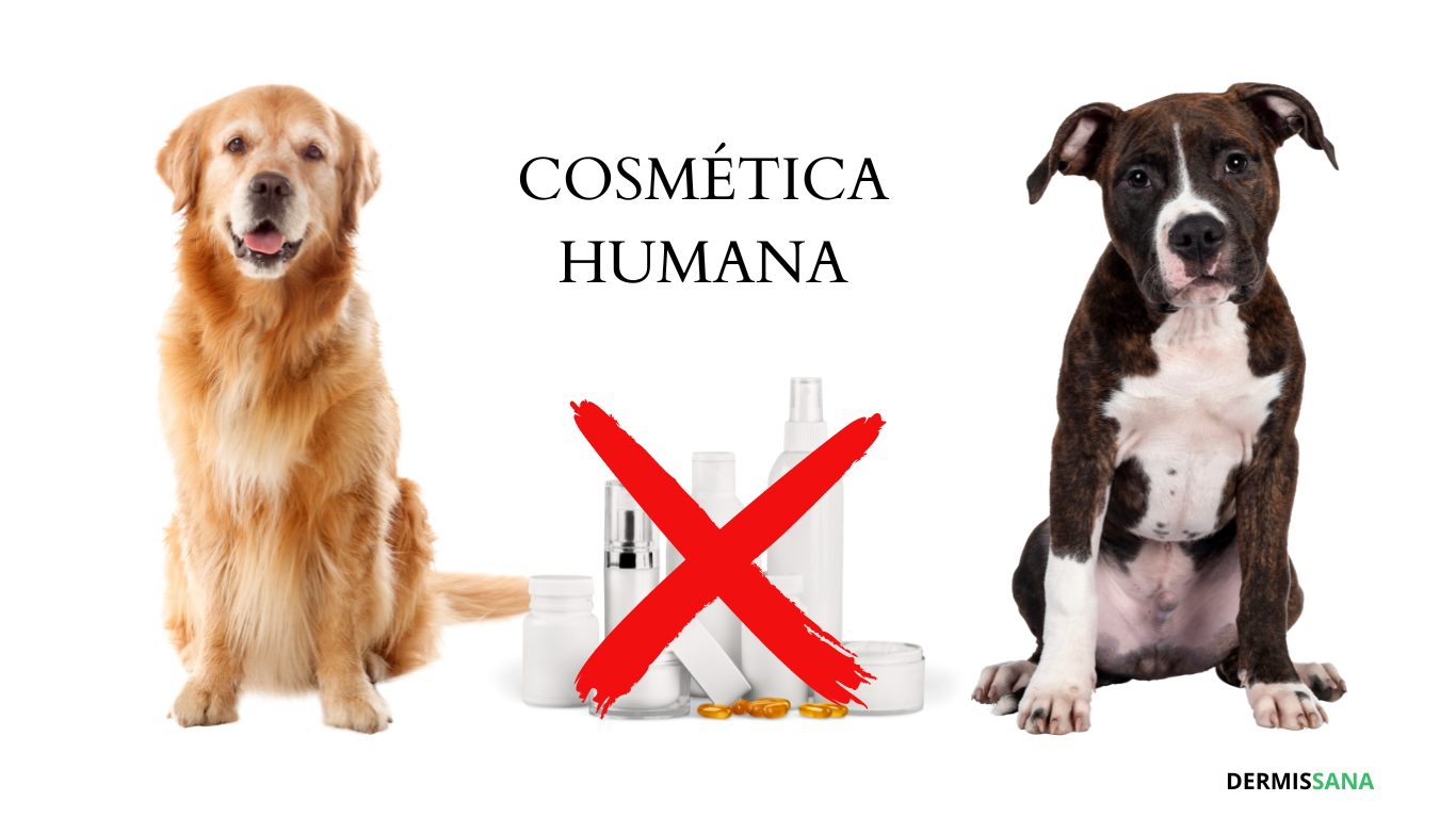 usar cosmética humana en perros