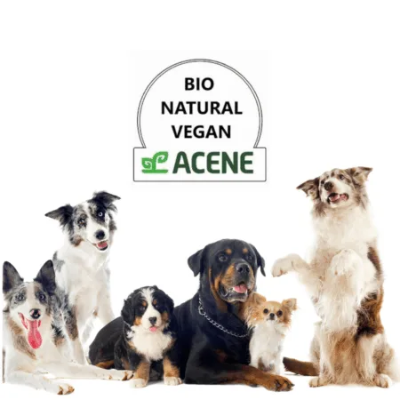 Packs para Perros