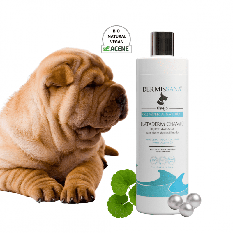 plata coloidal para perros y gatos champu