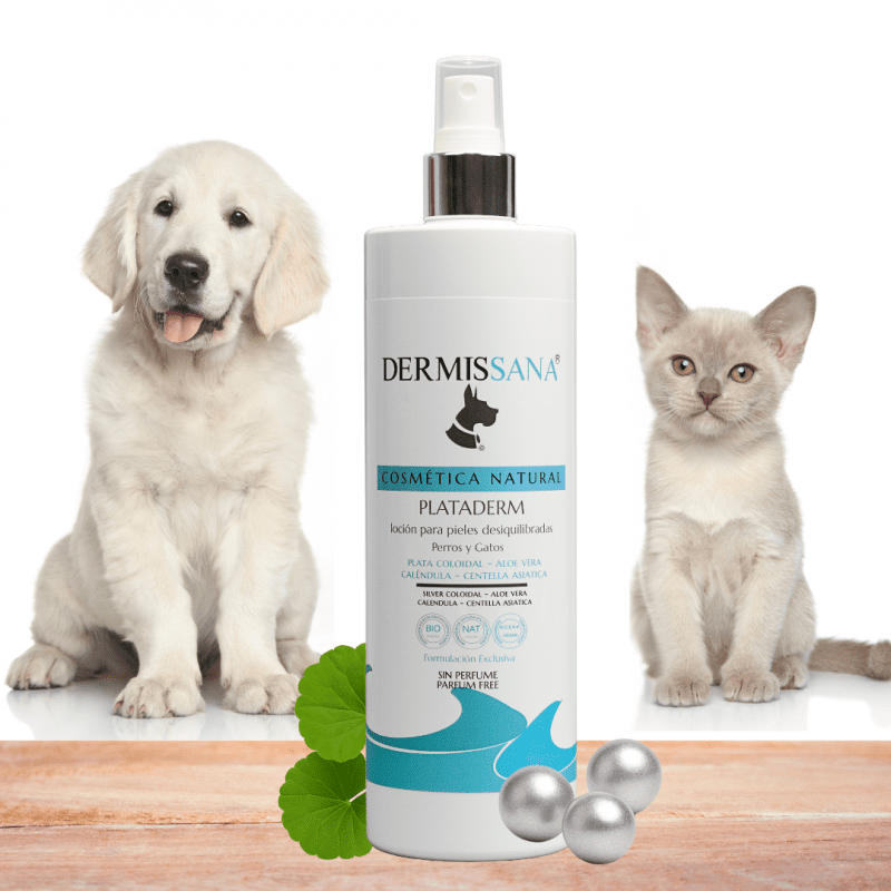plata coloidal en spray para perros y gatos