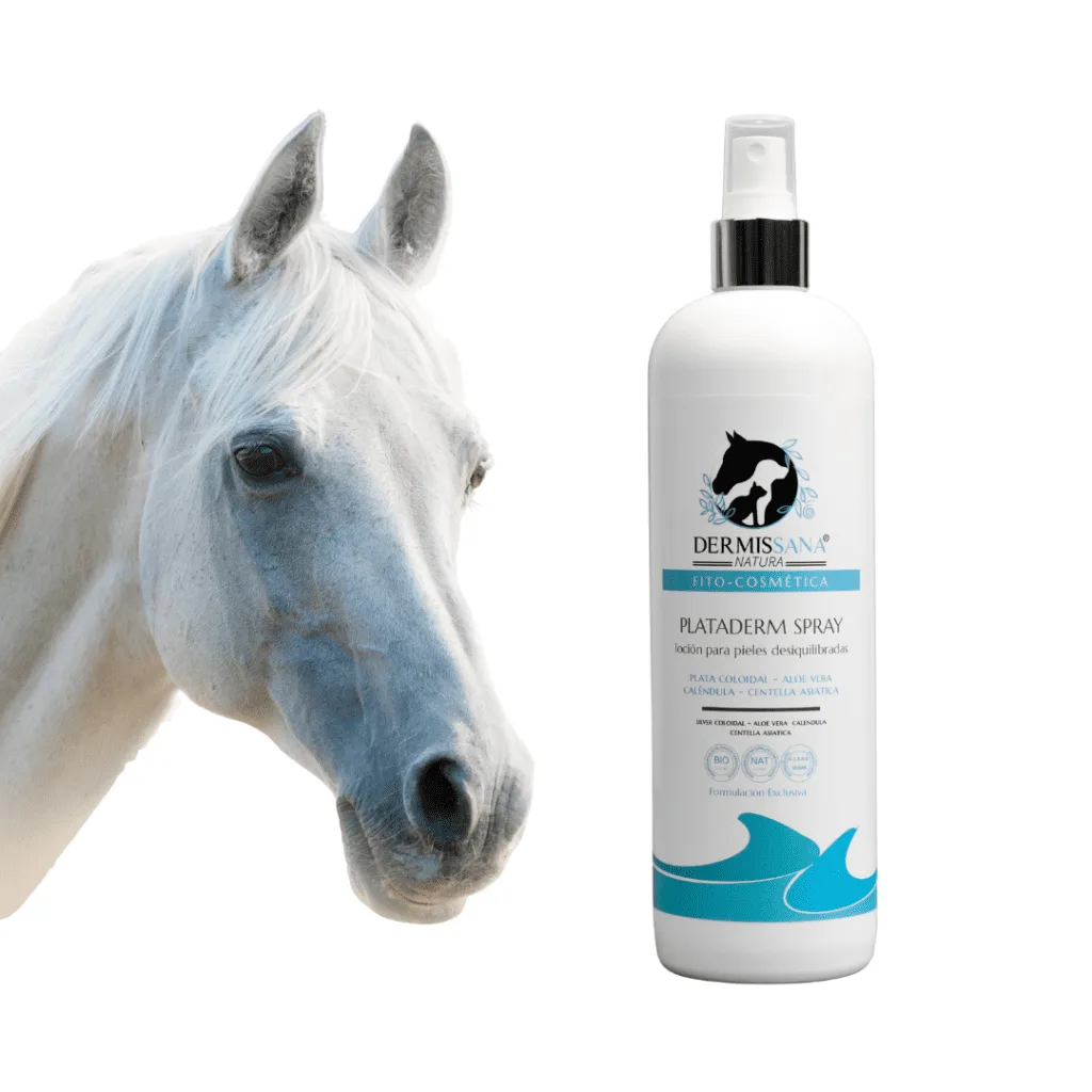 spray plataderm dermissana con plata coloidal para caballos junto a un caballo