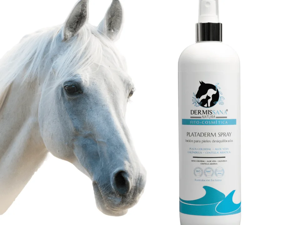 Spray con plata coloidal para caballos con piel sensible y pequeñas heridas superficiales Plataderm Dermissana