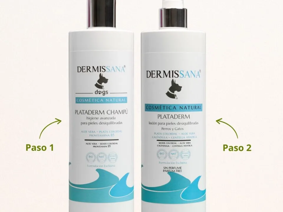 Pack Plataderm con champú y spray para perros y gatos con malassezia, seborrea y mal olor